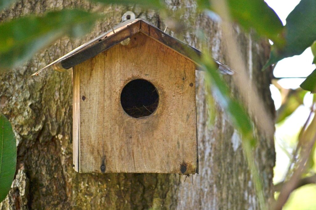bird nest, breeding box, bird shelter-266507.jpg